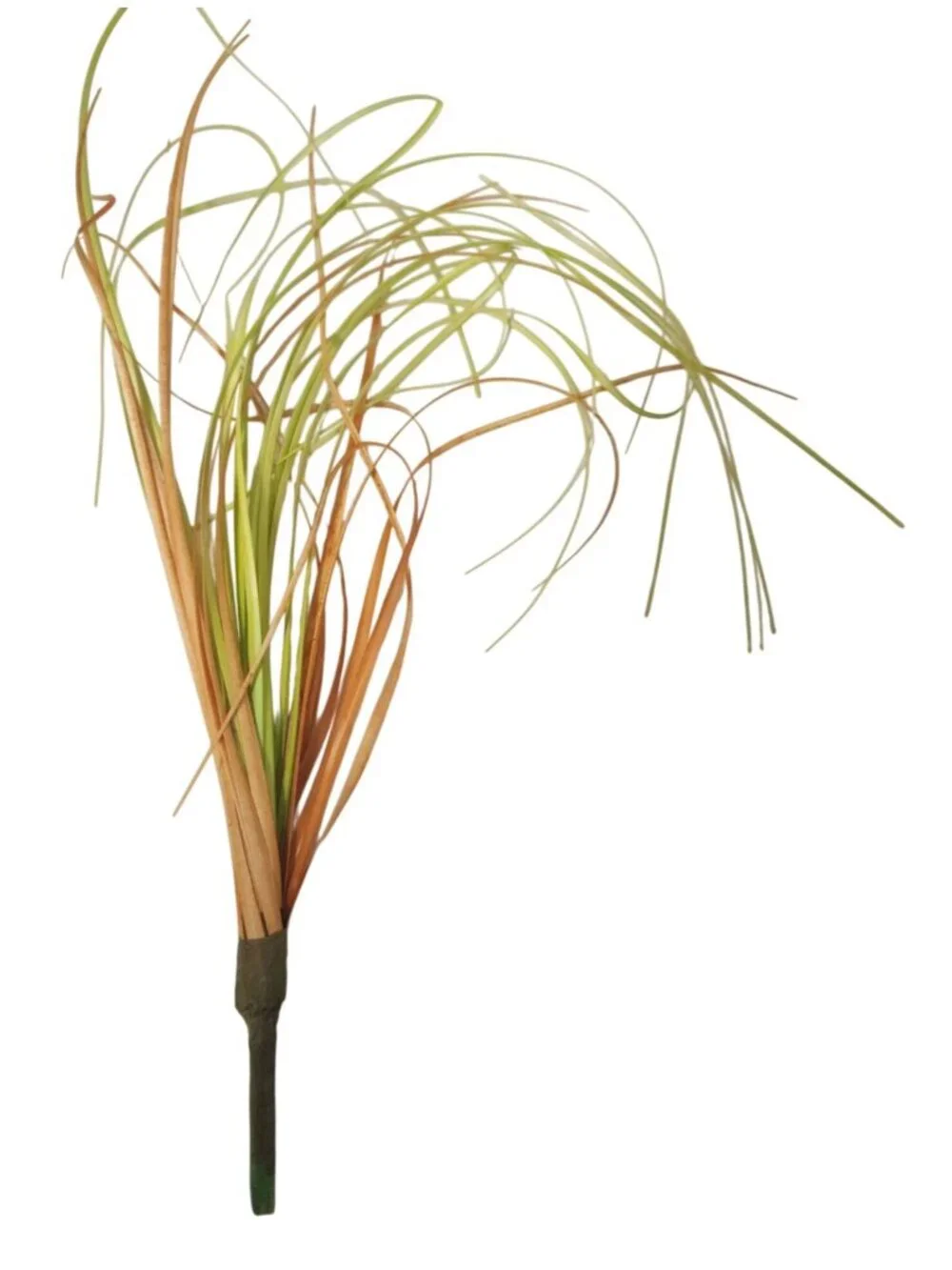 Artificial Grass Picks Set of 5 9 Inch Green Tan Faux Lemongrass Curly Floral Fi